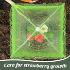 6 Sets Strawberry Plant Support with Mesh Plant Cover,Strawberry Growing Racks Sets with Iron Plant Nails and Storage Bag for Garden Strawberry Vegetables(Green Net - Round)