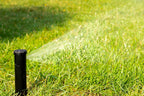 Rain Bird 32HE Professional Pop-Up Sprinkler, Click-N-Go