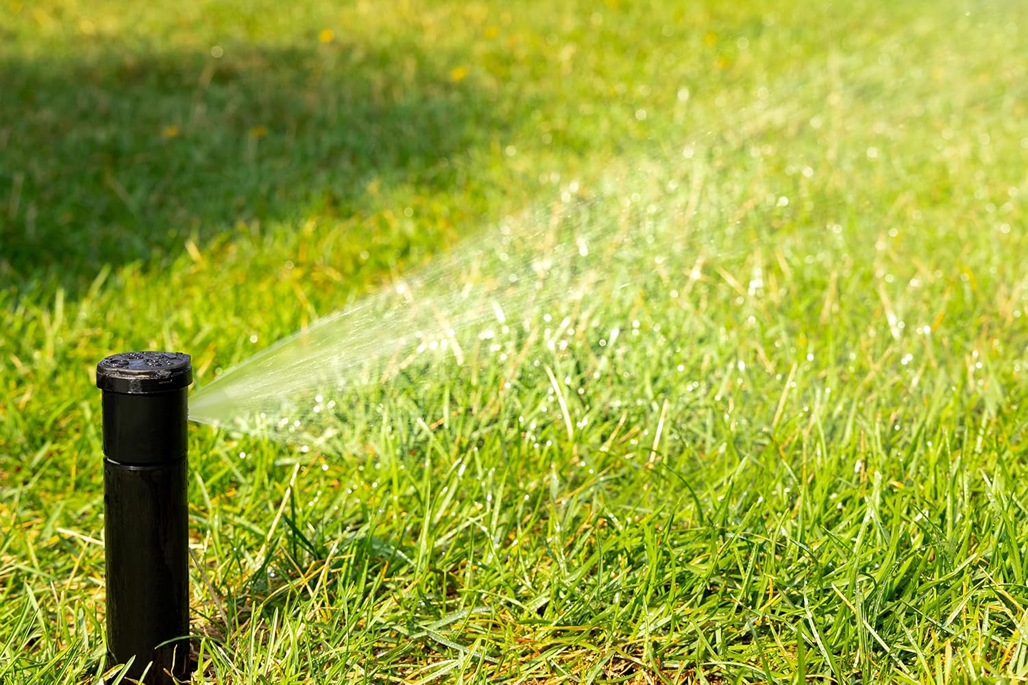Rain Bird 32HE Professional Pop-Up Sprinkler, Click-N-Go