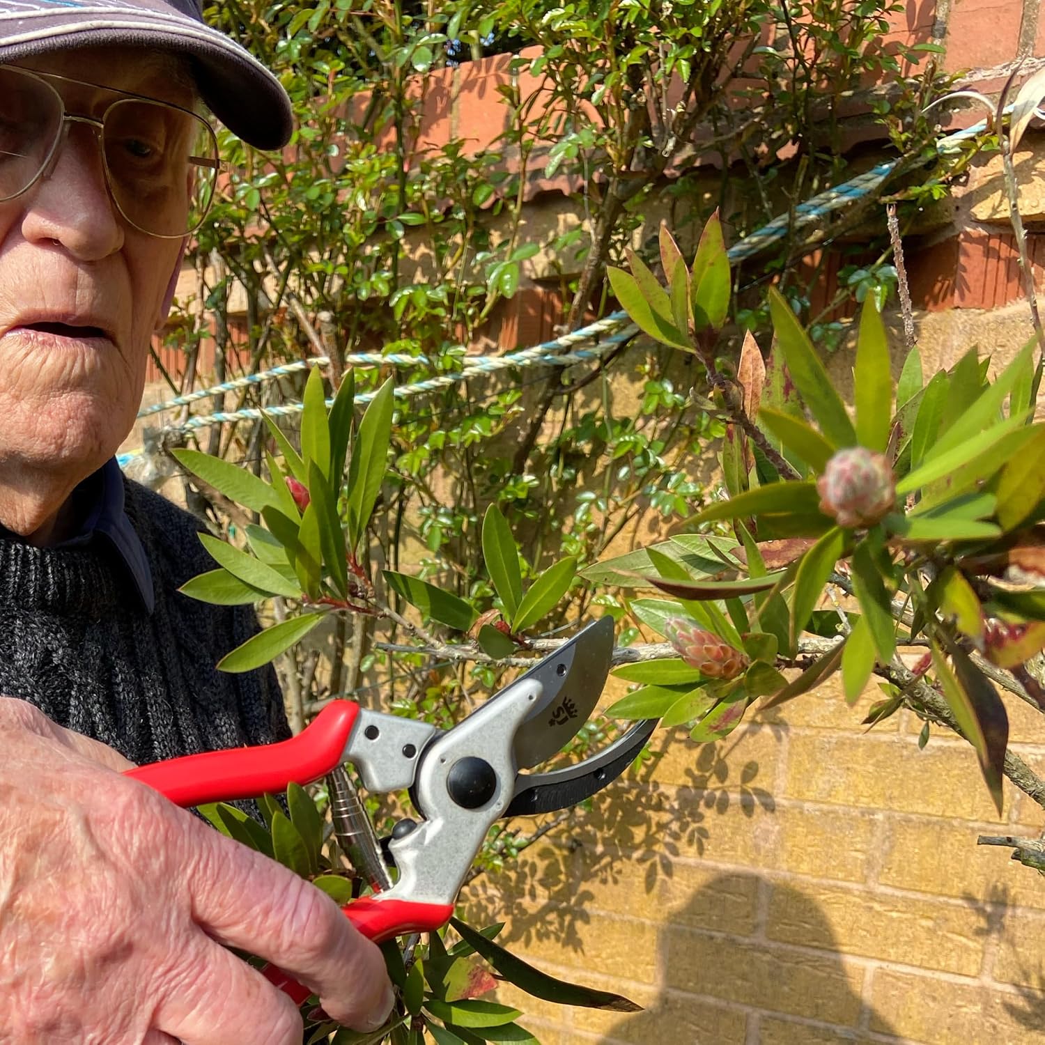 Spear & Jackson 6960CHBS Razorsharp Bypass Cut & Hold Secateurs with High Carbon Steel Blades, Lightweight Forged Aluminium Handle, Adjustable Catch & Shock Absorber