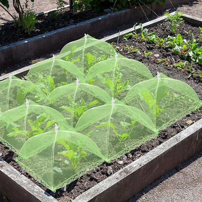 4 Sets Strawberry Plant Support with Mesh Cover - Square Gardening Frame, Animal Barrier, Iron Stakes & Storage Bag for Healthy Strawberries, Tomatoes, Veggies (Green) (4 pcs)