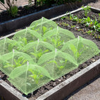 4 Sets Strawberry Plant Support with Mesh Cover - Square Gardening Frame, Animal Barrier, Iron Stakes & Storage Bag for Healthy Strawberries, Tomatoes, Veggies (Green) (4 pcs)