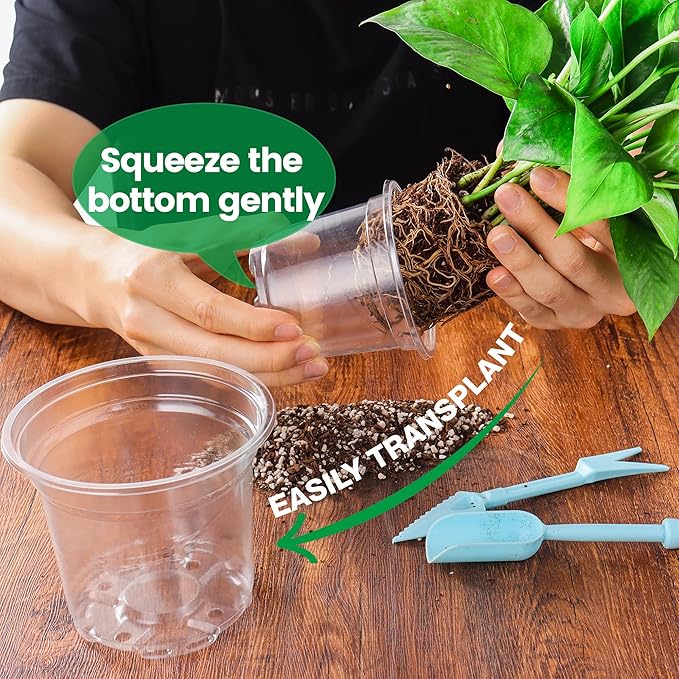 36 Packs 5/4/3.5 Inch Clear Nursery Pots with Humidity Domes, Transparent Plant Pots with Drainage Holes, Variety Pack Seedling Pots for Vegetable Propagation, Root Cutting, Seed Starting