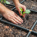 Garden Grid Watering System | Raised Garden Bed Drip Irrigation System – But Better | Pre-Assembled, Waters Every Plant Evenly, 1-Minute Setup | Square Foot Gardening Grid | US-Made (Cornerless, 2x4)