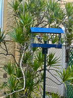 Universal Mounting Pole Kit - Heavy Duty Bird House or Bird Feeder Pole for Outdoors, Galvanized Steel, Threaded Joints, 30 lb Capacity, Auger Base