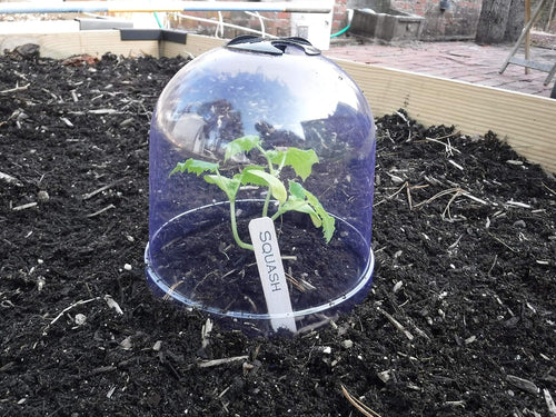 ! growaway™ small reusable plastic mini greenhouse, garden, main product view