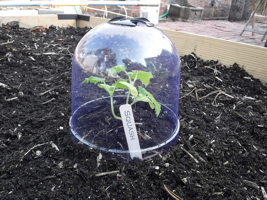 ! growaway™ small reusable plastic mini greenhouse, garden shown in use