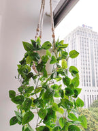 Comtelek 2 Packs Fake Hanging Plant with Pots for Home Decor Artificial Hanging Basket Plants Macrame Plant Hanger with Faux Vines Greenery for Bedroom Bathroom Room Wall Boho Decor Indoor Outdoor
