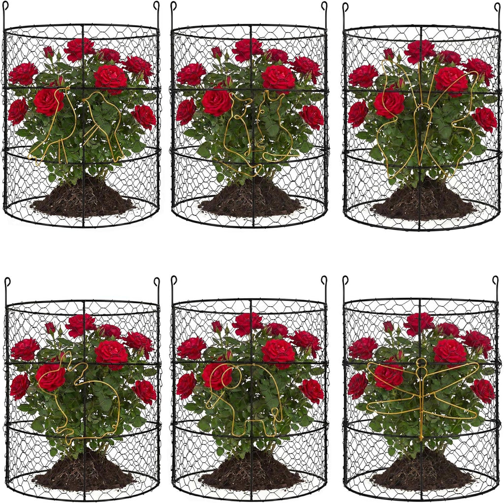 dhampooh garden cloches for plants, outdoor plant protectors, main product view