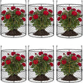 dhampooh garden cloches for plants, outdoor plant protectors, main product view