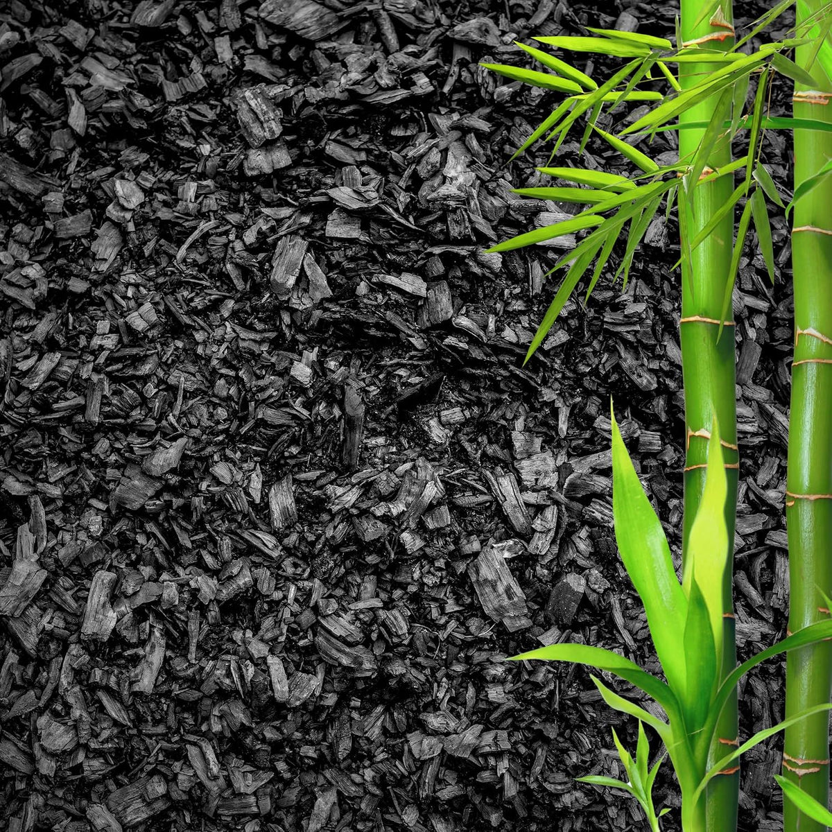 gardenwise horticultural charcoal for plants – organic bio, main product view