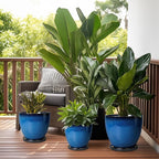 8 Inch Planter - Ceramic Plant Pot with Drainage Hole and Tray Round Planter Modern Flower Pot for Room Home Office Patio Porch Garden Decor Blue