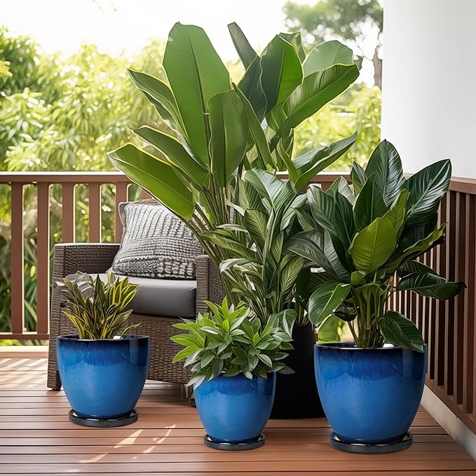 8 Inch Planter - Ceramic Plant Pot with Drainage Hole and Tray Round Planter Modern Flower Pot for Room Home Office Patio Porch Garden Decor Blue