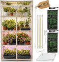 carpathen indoor greenhouse with grow light, 4 tiers, main product view