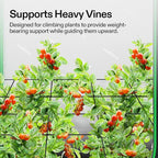 VIVOSUN 4 x 4Ft. Elastic Trellis Netting with 4 Hooks for Climbing Plants, Vegetables, Fruits, and Flowers, 1-Pack