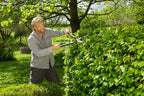 Gardena Hedge Shears 2in1 EnergyCut, Turquoise, Black