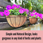 LaLaGreen Wall Hanging Planters (12 Inch, 2 Pack) Wall Mounted Flower Baskets with Coco Liner, Metal Iron Wire Plant Holder for Outdoor Window Box Herb Outside Fence Railing Deck Porch Balcony Garden