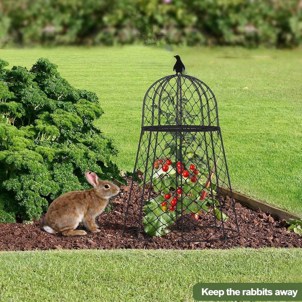 garden cloches for plants, 13" d x 20", front angle view