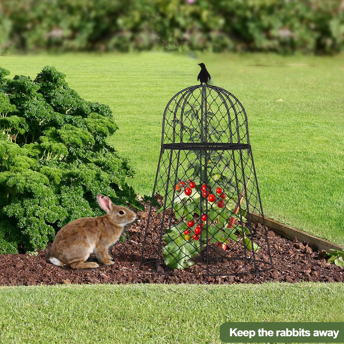 garden cloches for plants, 13" d x 20", front angle view