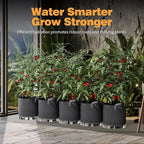 Self-Watering Grow Bags, 5-Pack 7 Gallon 420G Thick Nonwoven Fabric Pots with Reinforced Handles and Multi-Purpose Rings, for Low Stress Plant Training Fruits, Vegetables,and Flowers
