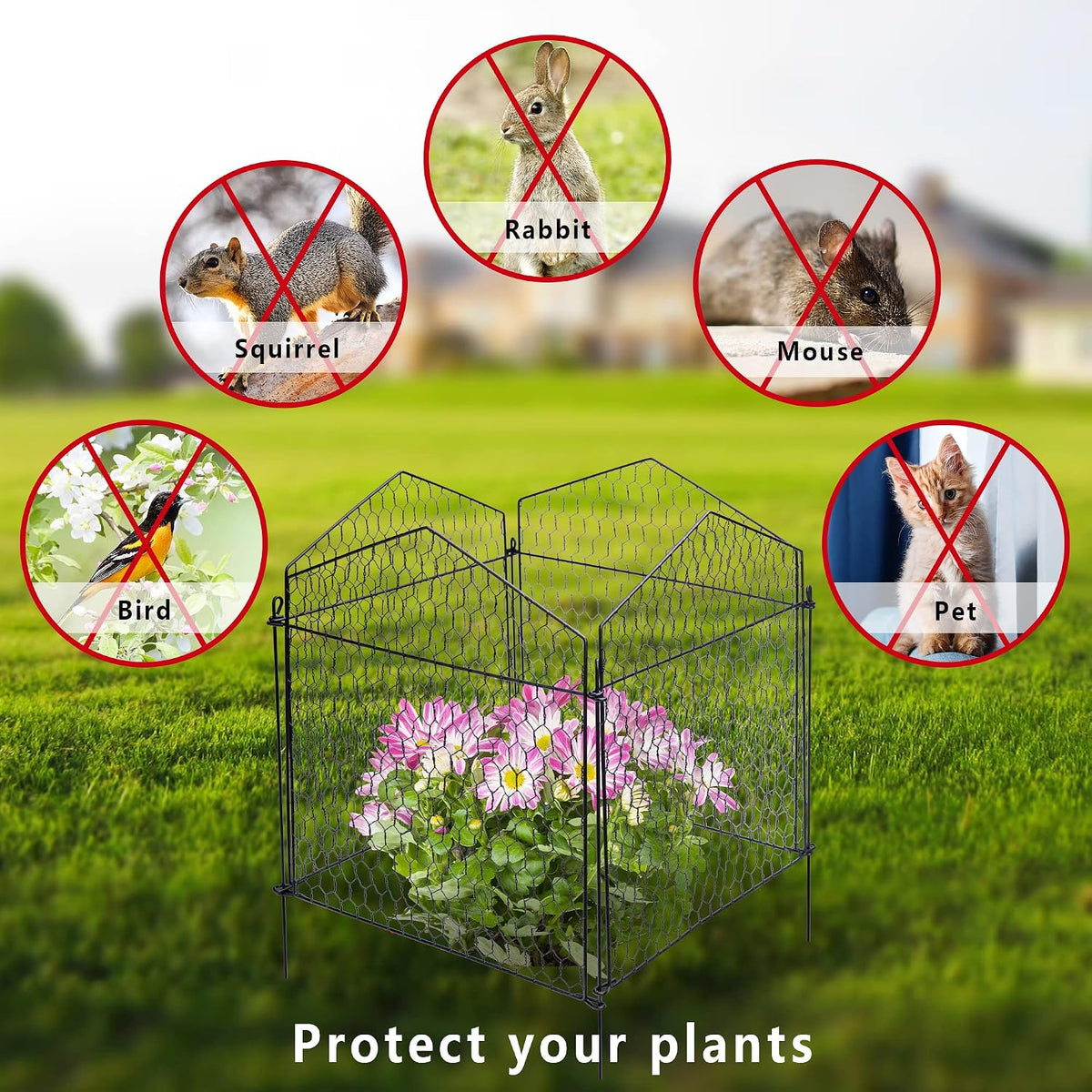 decohs 4 packs chicken wire cloche plant protectors showing dimensions