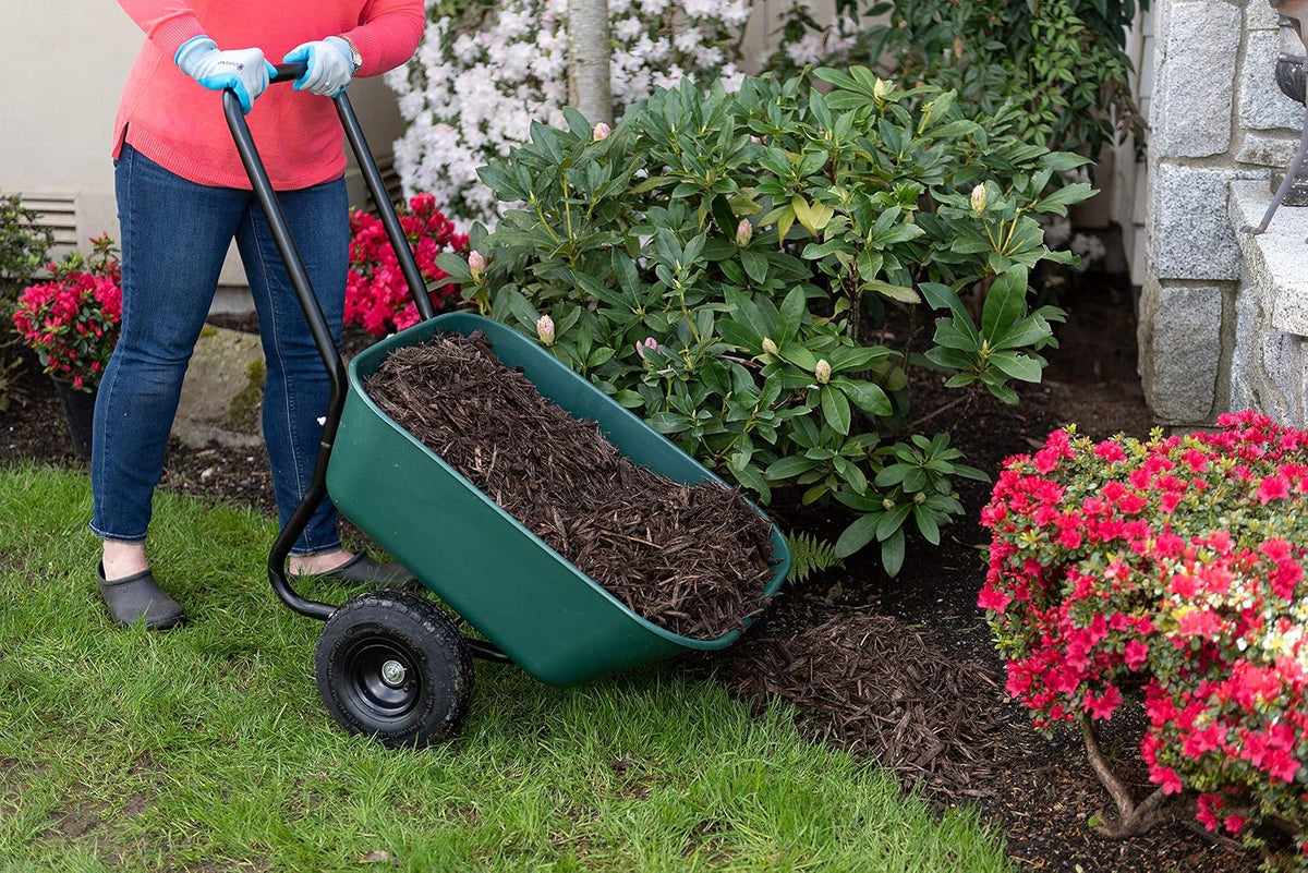 garden star 70019 garden barrow dual-wheel residential wheelbarrow, front angle view