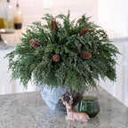 Cedar Stems Artificial Norfolk Pine Branches for Christmas Decor, 12 PCS Fake Pine Stems with 5 PCS Big Pine Cones Branches Realistic Fake Plants Faux Greenery for Vases DIY Garland Xmas Table Indoor