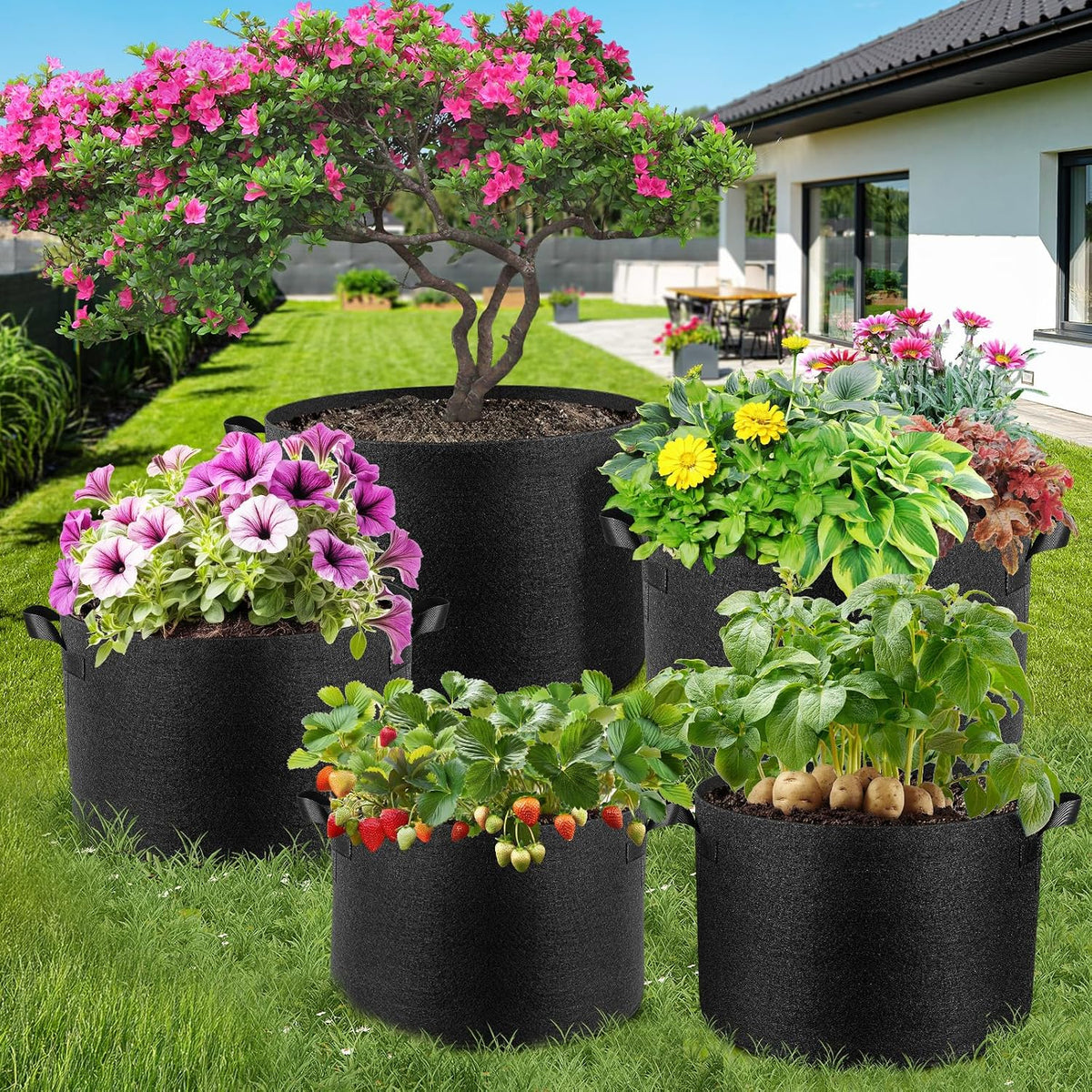 jorvila 10-pack 10 gallon grow bags on a desk or shelf