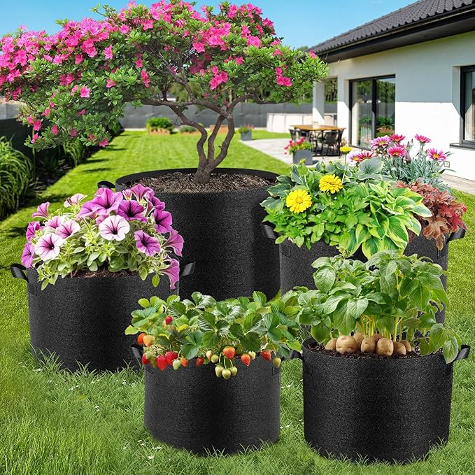 10 Pack 2 Gallon Grow Bags, Thickened Nonwoven Fabric Planter Pots with Handles, Heavy Duty 300G Garden Pots for Tomato, Potato and Vegetable