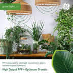 GE Grow Lights for Indoor Plants, BR30 Indoor Floodlight, LED Light Bulbs for Seeds and Greens with Balanced Spectrum, 25,000 Hours Lifespan, 16 PPF, 2 Pack (Packaging May Vary)