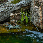 Aquascape Jazz Frog Spitter Fountain for Pond and Garden, 78374