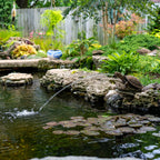 Aquascape Turtle On Log Spitter Fountain for Pond and Garden, 78371