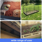 Black Hardware Cloth 1/2 inch Chicken Wire 48 in x 100 ft 19 Gauge | Vinyl Coated Chicken Wire Fencing, Chicken Wire Mesh Roll, Garden Mesh, Rabbit Fence