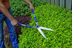 Spear & Jackson 4862RSA Razorsharp Active Soft-Grip Hand Shears