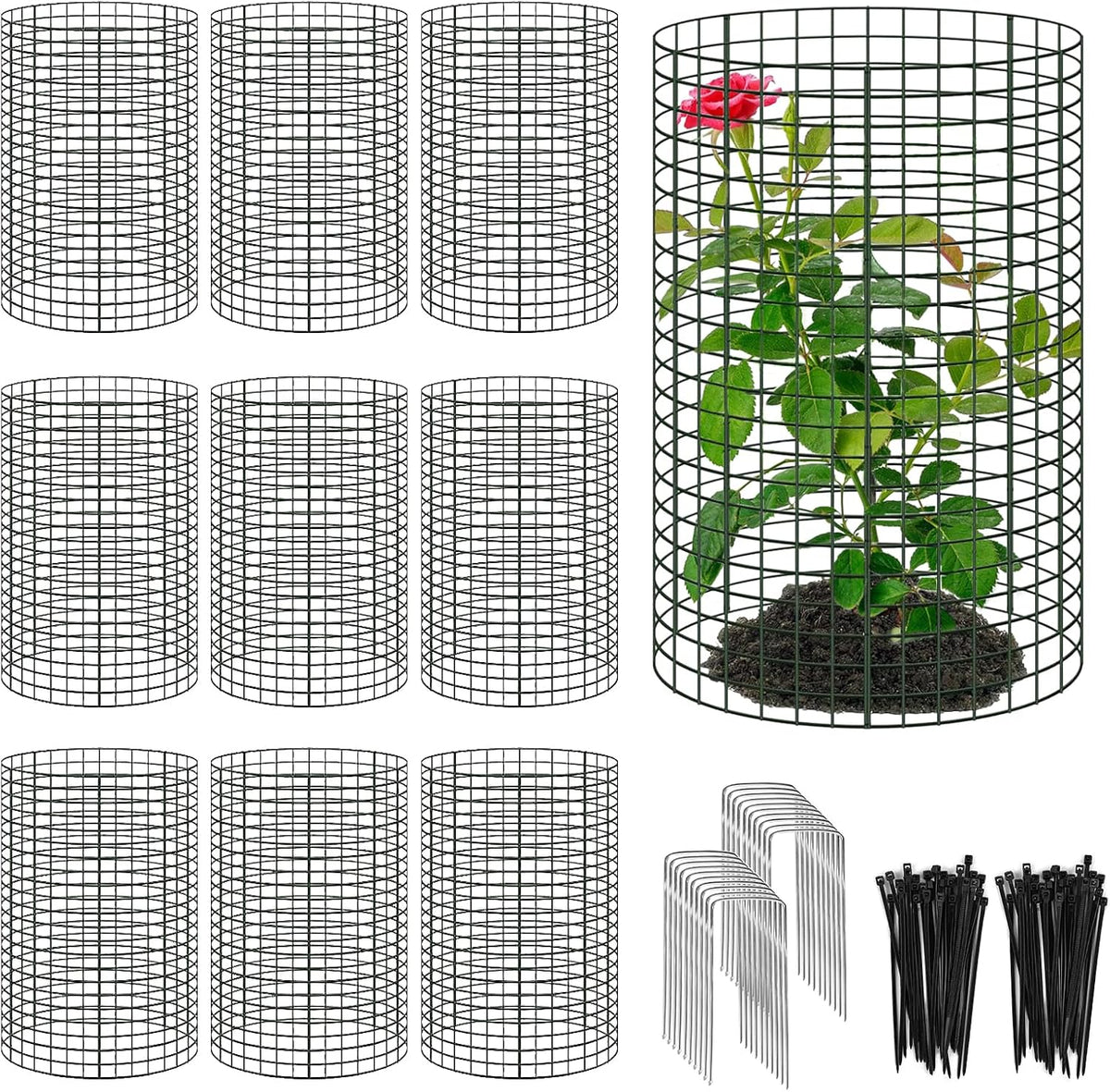 24'' x 12'' large wire plant protector from, main product view
