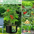 NACHLYNN 5-Pack 15 Gallon Grow Bags Thickened Nonwoven Fabric Pots Heavy Duty Aeration Fabric Pots with Handles Plant for Gardening Fruits Flowers Plant