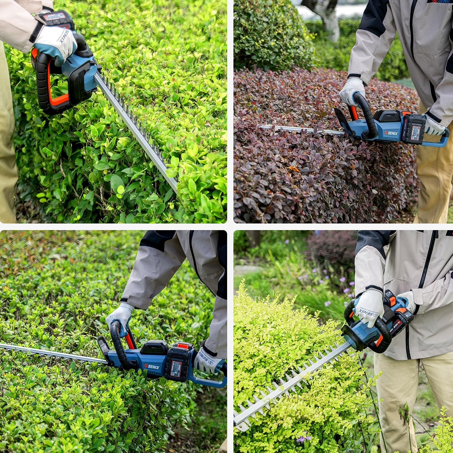 SENIX 40V 24-Inch Cordless Hedge Trimmer, 1-Inch Cut, Grey | Includes 2 Batteries & Dual-Port Charger, Dual-Action Blades, Lightweight, Ideal for Yard Landscaping