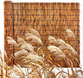 reed fencing roll, 85% shade natural bamboo privacy, main product view