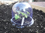 ! growaway medium reusable plastic mini greenhouse, cloche, main product view