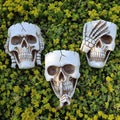dolkgy skull wall planters set of 3 –, main product view