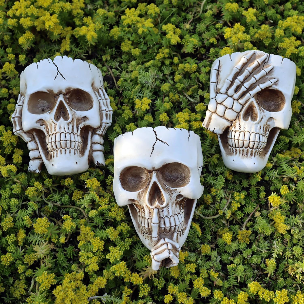 dolkgy skull wall planters set of 3 –, main product view