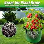 15 Gallon Grow Bags, 7 Pack Colorful Fabric Plant Pots with Handles for Garden and Outdoor Planting