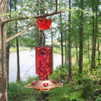 Hummingbird Feeder Ant Moats, 6 OZ x 2 Pack | Ant-Proof,Durable Ant Traps & Guards, Transparent Water Level, Easy to Install & Clean