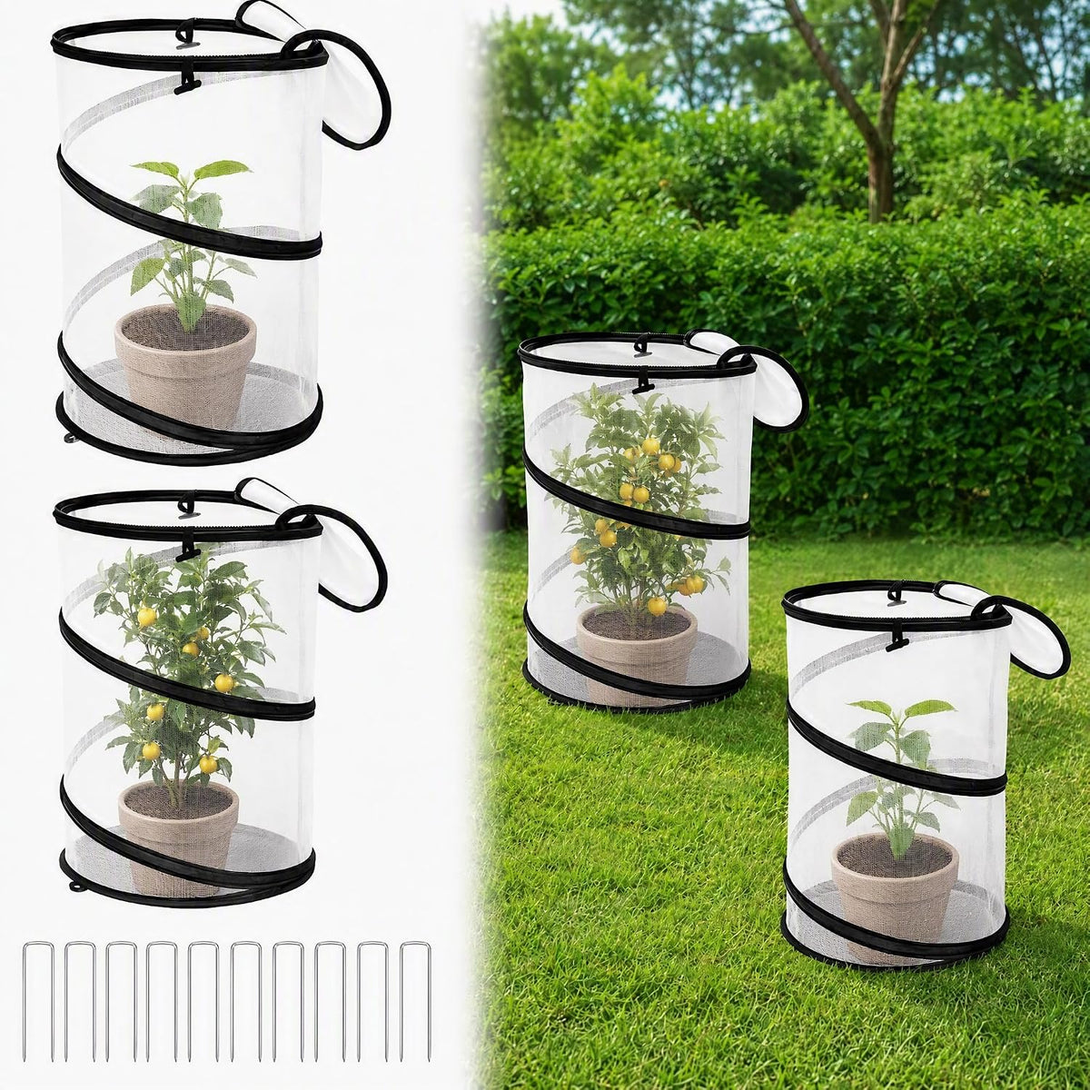pop-up plant netting, 4-pack, main product view