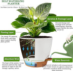 Self Watering Pots for Inoor Ourdoor Plants 8/7/6.5/6/5 Inch Plastic Planters with Drainage Holes & Water Level Indicator, Decorative House Flower Nursery Planting Pots with Saucers (White)