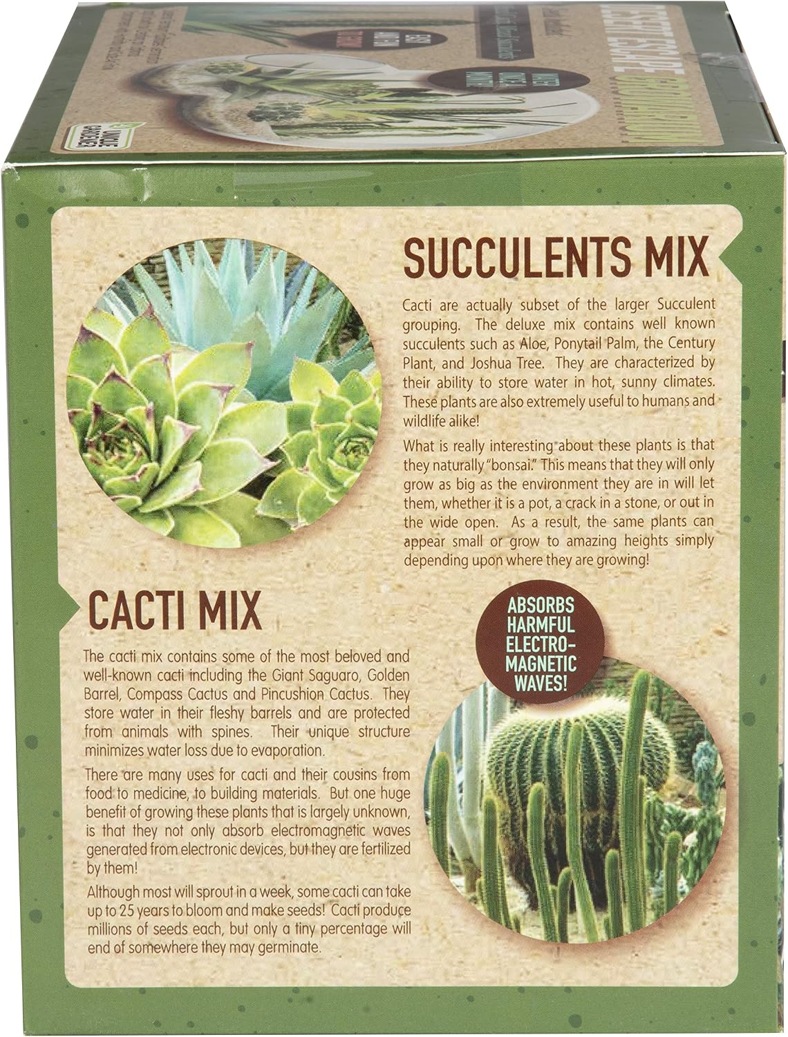grow your own desert escape in a quality, side view