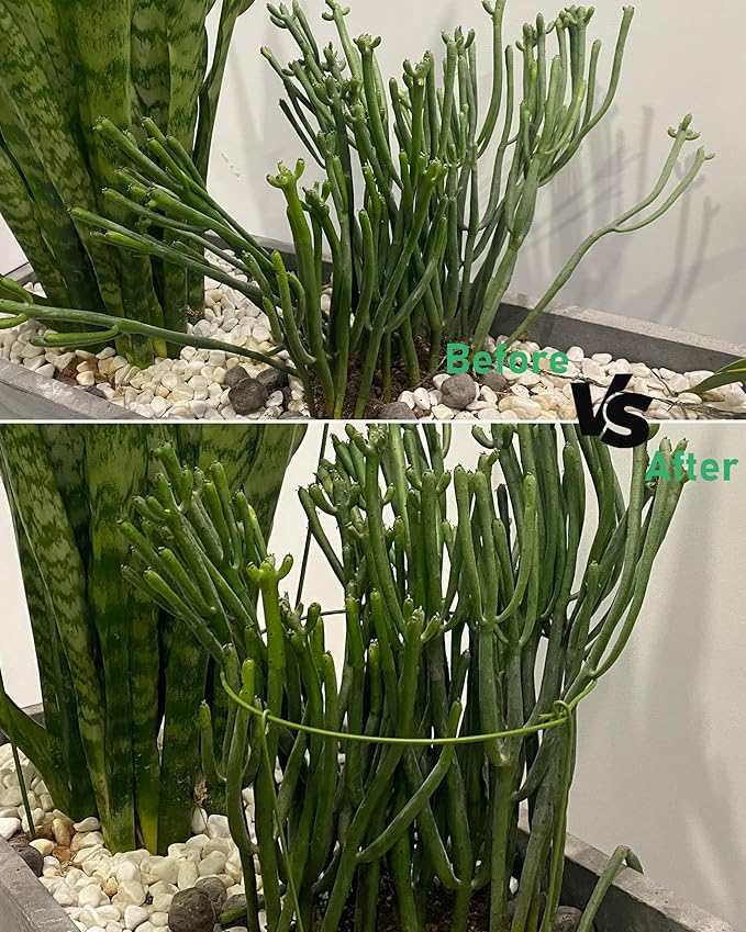 5 Pack Plant Support Stakes, Adjustable Plant Ring Cages with Green Rubber Wrapping, Ideal for Orchids, Indoor and Outdoor Potted Plants, 8" Wide x 11" High