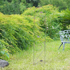 Arcadia Garden Products TR05 Autumn Leaf Trellis 5'