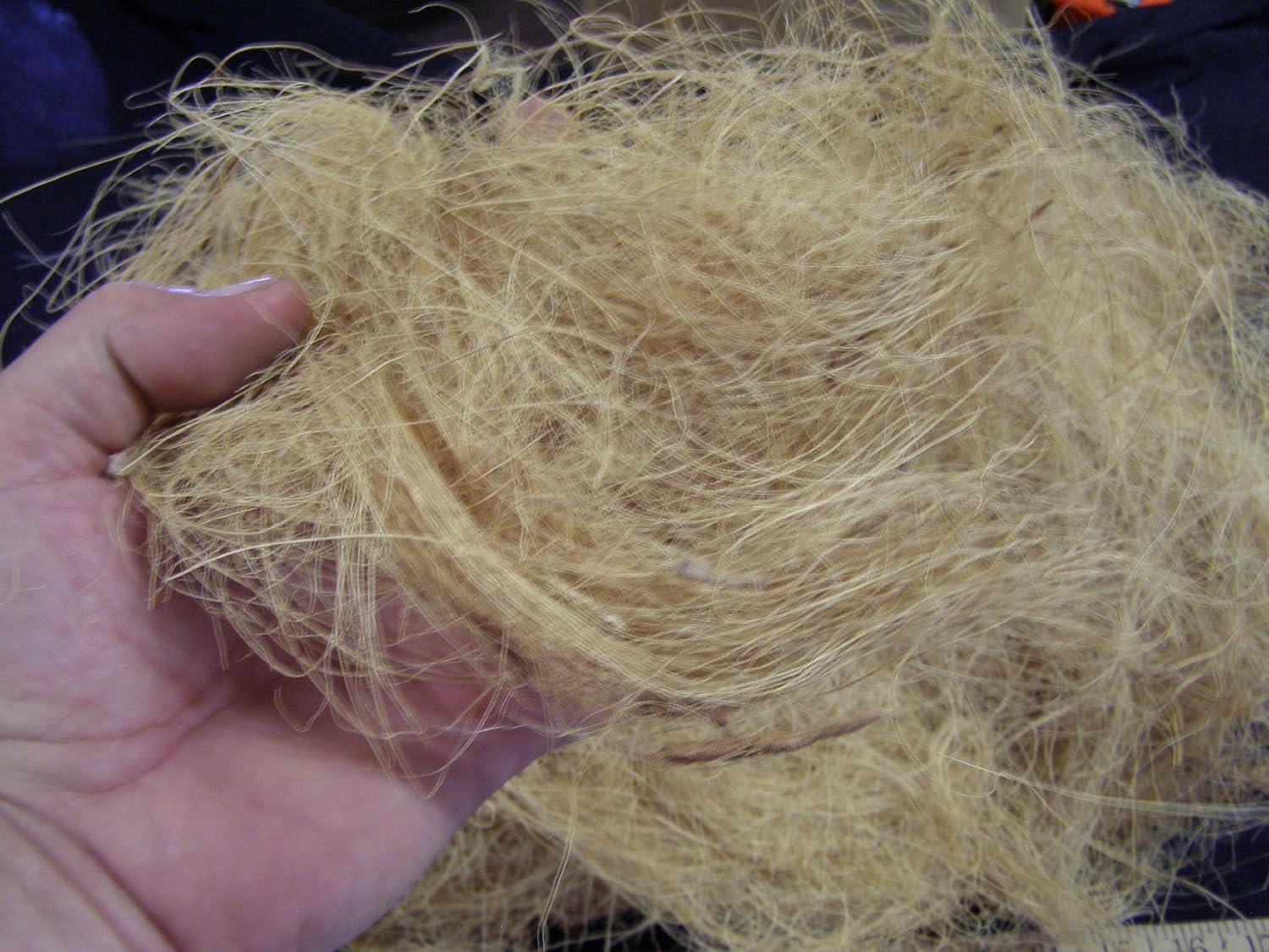1/2 Pound, Very Clean, for Orchids, Crafts, Pet Bedding