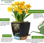 Self Watering Pots for Inoor Ourdoor Plants 10/9/8/7/6.5 Inch Plastic Planters with Drainage Holes & Water Level Indicator, Decorative House Flower Nursery Planting Pots with Saucers (Black)